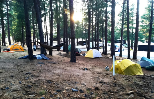 tent sites at Hawk's Nest Campground