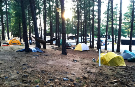 tent sites at Hawk's Nest Campground