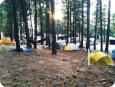 tent camping area at Hawk's Nest